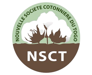 NSCT